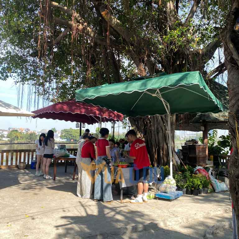Cho thuê dù hoạt động teambuilding ngoài trời
